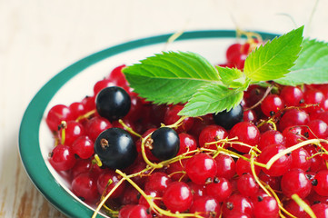 Juicy berries red and black currant and green leaf of mint in a plate, close up. Summer harvest of berries