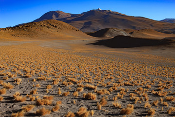 Atacama Desert, Chile