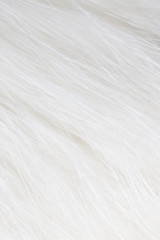 Fototapeta na wymiar White hair on the cat as background