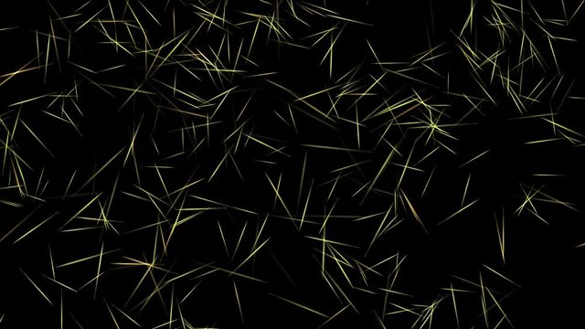 4k Abstract pine needles fragments lines background,leave tea beverages,drift float nematodes microbes bacteria fungi,spores pollution spread backdrop.