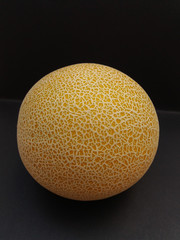 Melon Galia fruit