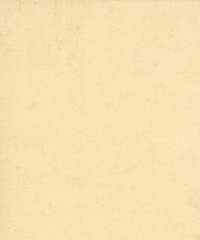 ibiscus paper surface background