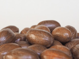 pecan nuts uncracked