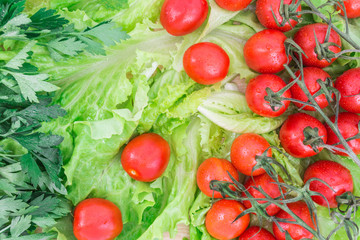 Cherry tomatoes covered with water drops lie on the basis of green lettuce leaves