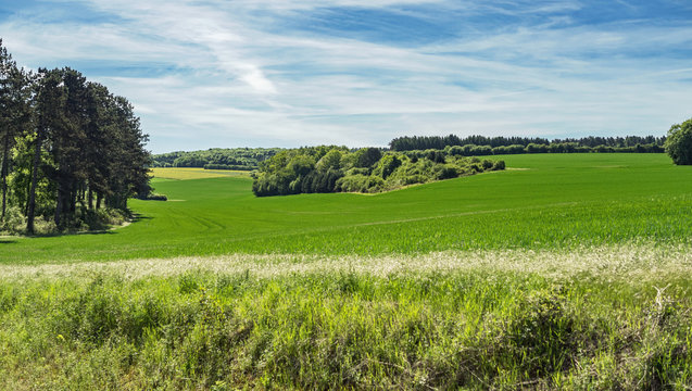 Weite Landschaft
