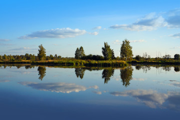 Summer landscape, river