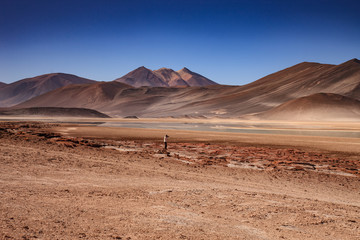 Atacama Desert, Chile