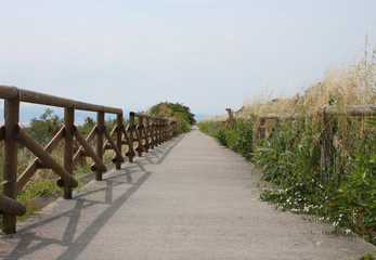 Fototapeta na wymiar cycle path along the protected nature reserve with the wooden fe