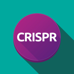 Long shadow button with  the clustered regularly interspaced short palindromic repeats acromym CRISPR