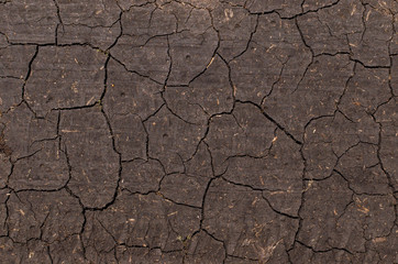Cracks in the dried earth