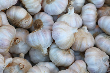 Fresh white garlic bulbs on retail market display