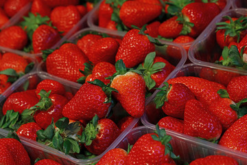 Fresh red ripe strawberries in plastic boxes