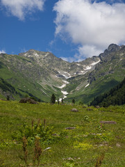 Fototapeta na wymiar Abkhazia. Mountains