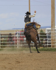 Saddle Bronc Riding