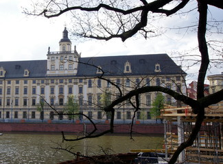 Gmach główny Uniwersytetu Wrocławskiego, ukrytkiem z za gałęzi