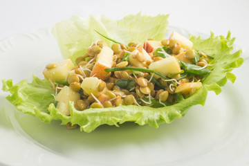 Sprouted lentil seeds