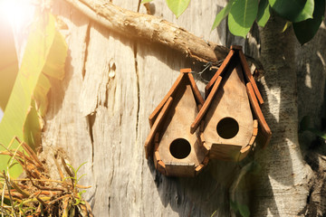 Wooden birdhouse in garden with warm light flare.