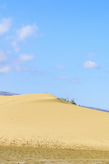 Fototapeta na wymiar Sand Dunes on Gran Canaria