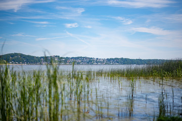 Hamburg Blankenese seen through reeds on the opposite shore of the Elbe river