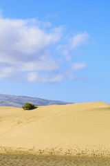 Sand Dunes on Gran Canaria