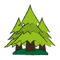 Obraz na płótnie Canvas pine trees icon image vector illustration design 