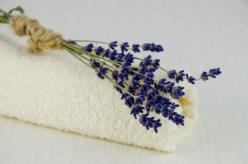 Obraz na płótnie Canvas lavender flower