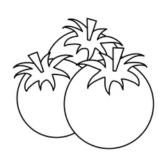 three tomatoes icon image vector illustration design  single black line