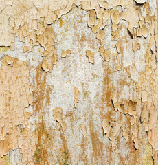 Old wall texture