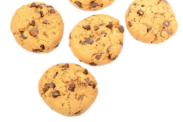 Tasty biscuits with chocolate isolated on a white background