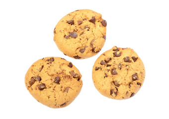 Tasty biscuits with chocolate isolated on a white background