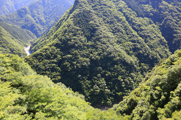 徳島県三好市　祖谷渓