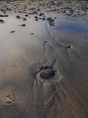 water making a picture in the sand