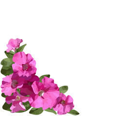 Flower Petunia plant, bouquet. Vector illustration.
