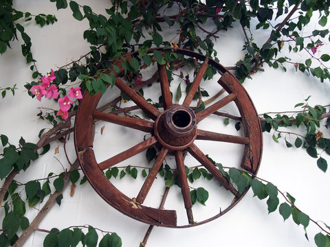 old cartwheel on a whitewashed wall in rhodes greece with trailing plants and flowers