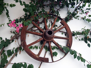 old cartwheel on a whitewashed wall in rhodes greece with trailing plants and flowers © philopenshaw