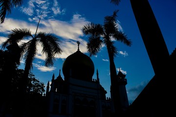 Sultan Mosque, La moschea di Singapore