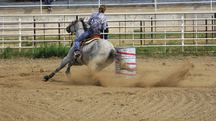 Grey Barrel Horse And Rider