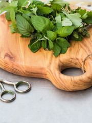 Various fresh herbs for tea - thyme, currant leaves and various kinds of mint on a wooden board