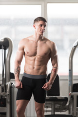 Fototapeta na wymiar Serious Bodybuilder Standing In The Gym