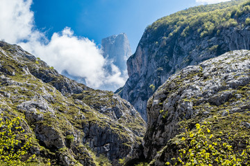 Naranjo de Bulnes in Picos de Europa mountains