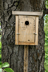 Birdhouse hanging on a tree