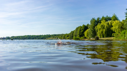 Professional triathlete swimming in a lake