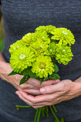 Vertical photo of a bouquet of green flowers in the hands of a Caucasian woman in a grey shirt