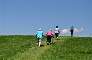 Fototapeta na wymiar Wandergruppe von Senioren wandern auf Wiese unter dem blauen Himmel, 
