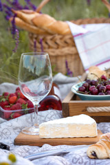 Picnic in the meadow