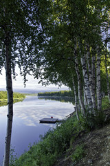 White birches and dock, at shoreline of Ivalo River, Ivalo, Finland