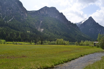 Fototapeta premium Berglandschaft mit Wiese