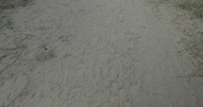 Footprints on a sandy path near a beach