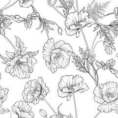 Seamless pattern with poppy flowers in botanical vintage style. Outline hand drawing coloring page for adult coloring book. Stock line vector illustration.