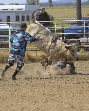 Bull Ride Rodeo